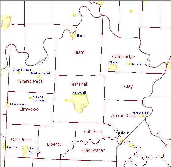 Saline County
                  Townships